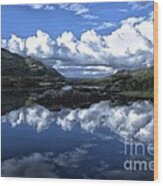 The Lakes Of Killarney Wood Print