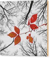 The Last Leaves Of November Wood Print