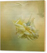 The Last Yellow Rose Wood Print