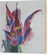 The Lonely Tulip Wood Print