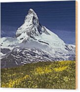 The Matterhorn With Alpine Meadow In Foreground Wood Print