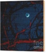 The Moon Followed Me 2 Wood Print