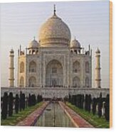 The Morning Taj Mahal Wood Print