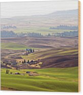 The Not-quite-green Palouse Hills Wood Print