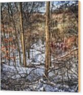 The Old #creek In The #forest Valley Wood Print