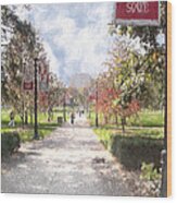 The Oval At Ohio State Wood Print