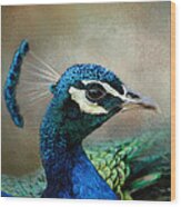 The Peacock's Crown - Wildlife Wood Print