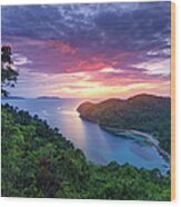 The Philippines, Palawan, Turtle Bay Wood Print