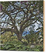 The Pride Of St. Kitts Wood Print