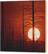 The Red Planet Wood Print