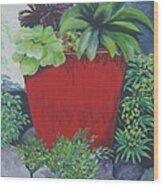 The Red Pot Wood Print