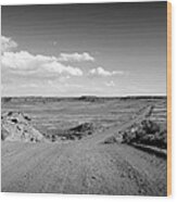 The Road To Chaco Bw Wood Print