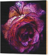 The Royal Rose Wood Print