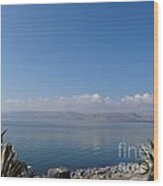 The Sea Of Galilee At Capernaum Wood Print