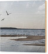 The Shallows At Whitefish Bay Wood Print