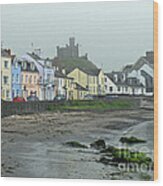 The Shores Of Ireland Wood Print