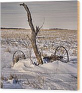 The Snow Drift And Time Forgotten Wood Print