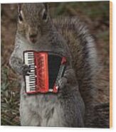 The Squirrel And His Accordion Wood Print