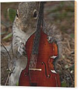 The Squirrel And His Double Bass Wood Print