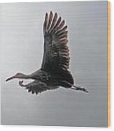 The Stork Wood Print