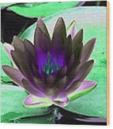 The Water Lilies Collection - Photopower 1116 Wood Print