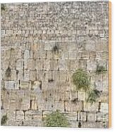 The Western Wall Jerusalem Israel Wood Print