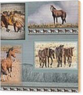 The Wild Horses Of Nevada Wood Print