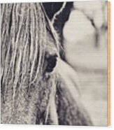 The Wild One #horse #rain #animal Wood Print