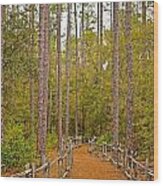 The Wooded Path Wood Print