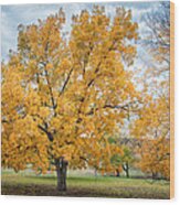 The Yellow Tree Wood Print