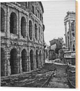 Theatre Of Marcellus Wood Print