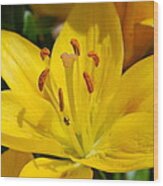 This Lilly Is For Joyce Wood Print