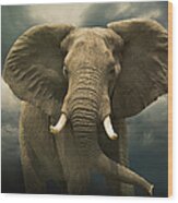 Threatening African Elephant Under Wood Print