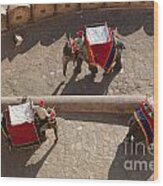 Three Elephants At Amber Fort Wood Print