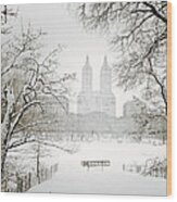 Through Winter Trees - Central Park - New York City Wood Print