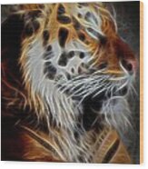Tiger At Rest Wood Print