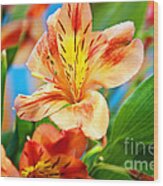 Tiger Lilly Wood Print