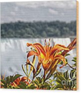 Tiger Lily With A Blurred Falls Wood Print
