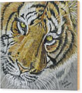 Tiger Painting Wood Print