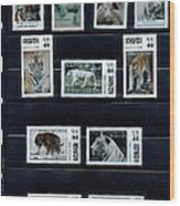 Tigers on personalized stamps Art Print by Dorin Cojocariu - Fine Art  America