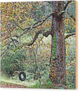 Tire Swing And Poplar Tree Wood Print