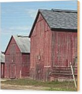 Tobacco Barns In Windsor Connecticut Wood Print