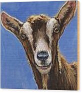 Toggenburg Goat On Blue Wood Print