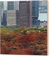 Tokyo Marunouchi Wood Print