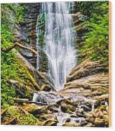 Toms Creek Falls In Marion North Carolina Wood Print