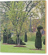 Topiary Park In Columbus Wood Print