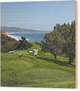 Torrey Pines Golf Course North 6th Hole Wood Print