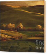 Golden Fields Of Val D'orcia Wood Print