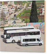 Tourist Buses Wood Print