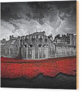 Tower Of London Remembers Wood Print